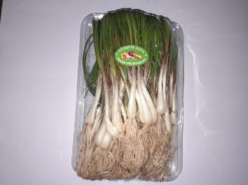 Sayuran