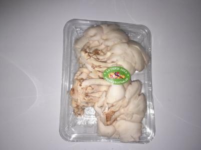 Sayuran